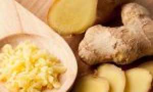Как хранить корень имбиря в свежем виде, маринованном или сушеном